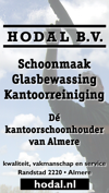 Hodal De kantoorschoonhouder van Almere, , Hodal BV