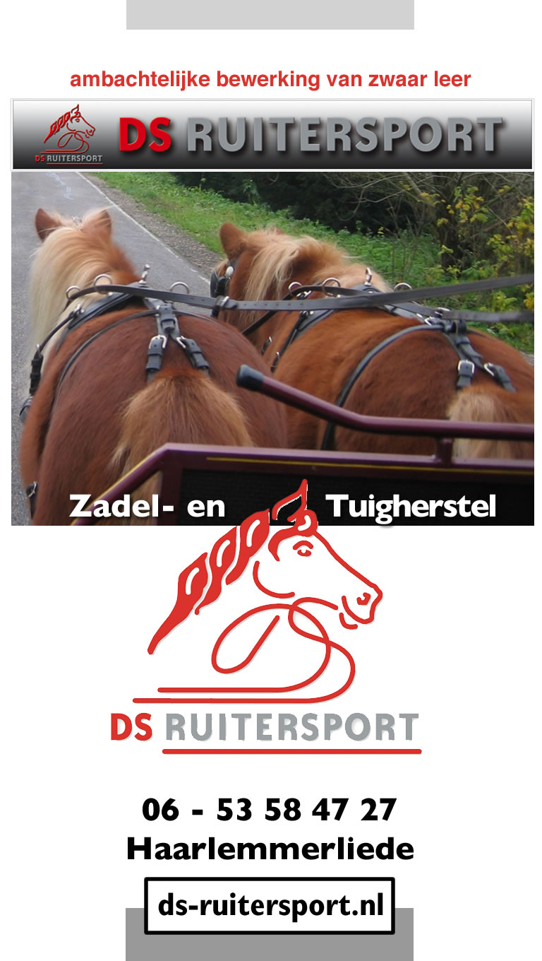 Ds_ruitersport_tuigherstel