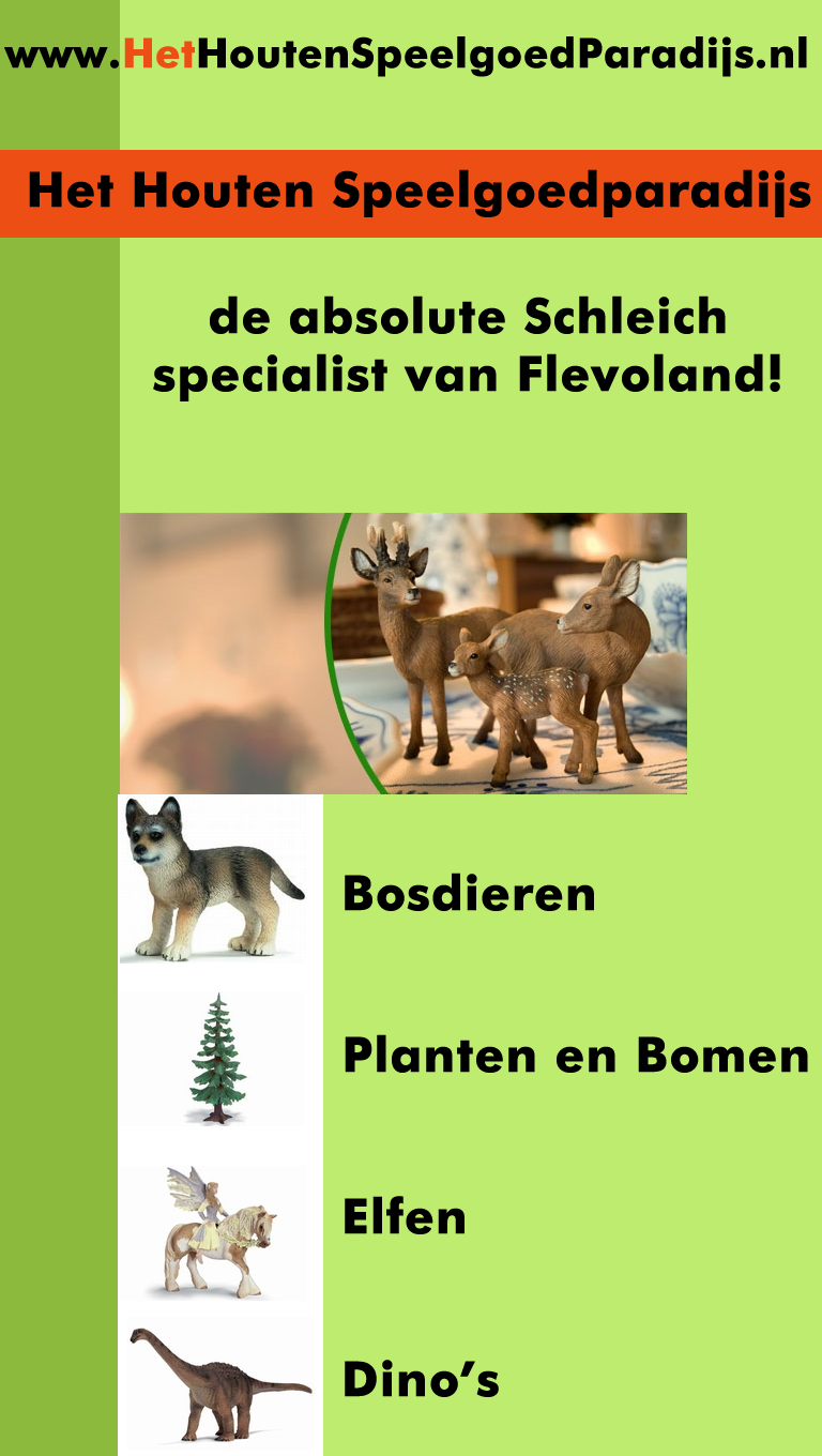 Hethoutenspeelgoedparadijs