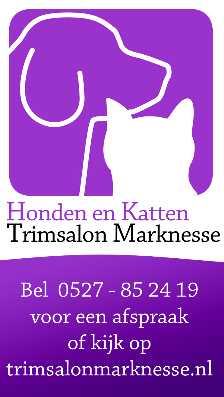 Tv_trimsalon_marknesse